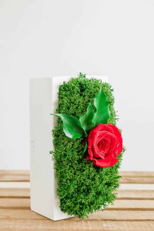 Concrete Vase with Moss and Rose - Image 2