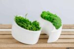 Yin Yang Concrete Vase with Provence and Spherical Moss - Image 4