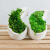 Upright white concrete yin yang planters filled with dense green moss on wood slats