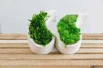 Yin Yang Concrete Vase with Provence and Spherical Moss - Image 6