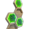 Angled view of illuminated hexagonal wooden shelves with backlit green moss panels on a white wall.