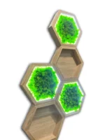 Moss Wall Art Sets: Illuminated Moss Hexagon and Wooden Wall Shelf - Image 4
