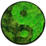 Round Moss Wall Art Yin Yang