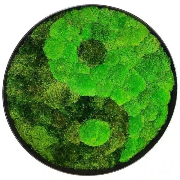 Round preserved moss wall art featuring a yin-yang motif in a circular frame