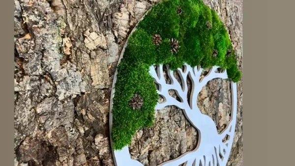 Moss Tree with Provence Moss and Cones. Tree of Life - Image 8