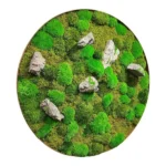 Round Moss Wall Art with Moss and Stone