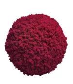 Moss Ball with Iceland Moss - Image 6