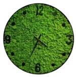 Round wall clock with Iceland moss