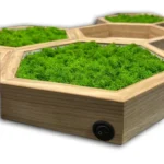 Moss Wall Art Sets: Illuminated Moss Hexagon and Wooden Wall Shelf - Image 5