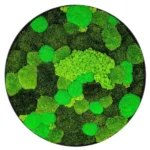 DIY Round Moss Art Kit – Mixed Moss Set - Image 2