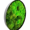Side view of round bun moss wall art featuring a Yin Yang pattern in two-tone green within a black circular frame.
