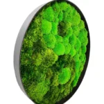 Round Moss Wall Art Yin Yang - Image 3