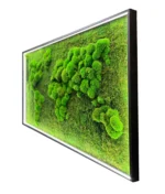 3D Illuminated World Map with Spherical and Flat Moss - Image 4