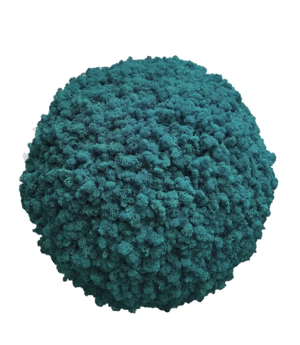 Moss Ball with Iceland Moss - Image 7