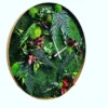 Round wood frame wall clock with green moss, fern leaves, and white clock hands against a white background