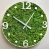 Round wall clock with a green moss face, white numbers, and white hands, set against a plain background.