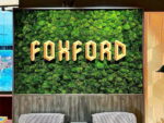 3D Logo with Wooden Letters and Moss - Image 3