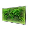 4.-1200x1006.jpg-1 Rectangular moss wall art panel depicting a 3D world map in vibrant green preserved moss with a black frame.
