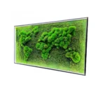 3D Illuminated World Map with Spherical and Flat Moss - Image 5