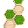 Natural wood hexagon wall shelf set with green preserved moss and open display compartments.