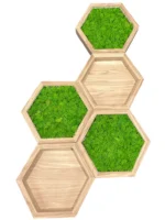 Moss Wall Art Sets: Illuminated Moss Hexagon and Wooden Wall Shelf - Image 6