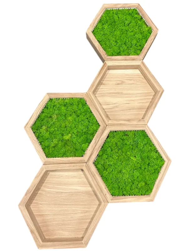 Moss Wall Art Sets: Illuminated Moss Hexagon and Wooden Wall Shelf - Image 6