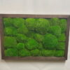 Rectangular green ball moss wall art in a dark brown wood frame mounted on a wall