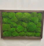 Framed Reindeer Moss Picture (Moss Wall Art) - Image 8