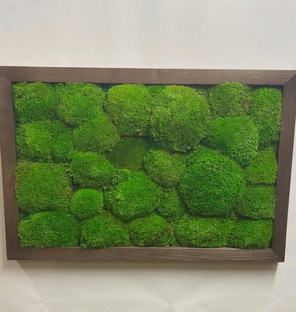 Framed Reindeer Moss Picture (Moss Wall Art) - Image 8