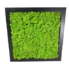 Square black wooden frame filled with textured vibrant green reindeer moss wall art