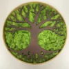 Top view of round natural wood frame with brown wooden tree overlay and bright green preserved moss