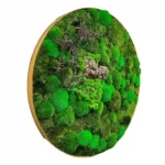 Round Moss Picture with Wood - Image 2