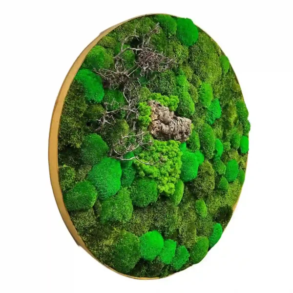 Round Moss Picture with Wood - Image 2