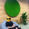 Large circular green moss wall art with a wooden frame on a light wooden slatted wall.