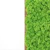 Side view detail showing the texture of green reindeer moss against a brown wooden frame border.