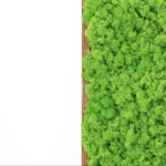 DIY Moss Picture Kit – Reindeer Moss - Image 9