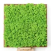 Square wood frame filled with bright green reindeer moss on a small wooden display easel.