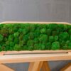 Moss table divider in an arched wooden frame freestanding on a wooden tabletop