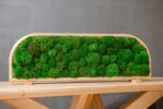 Moss Table Divider