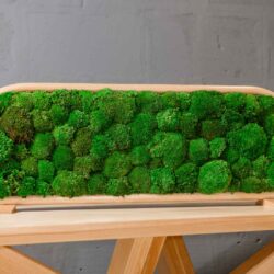 Moss Table Divider