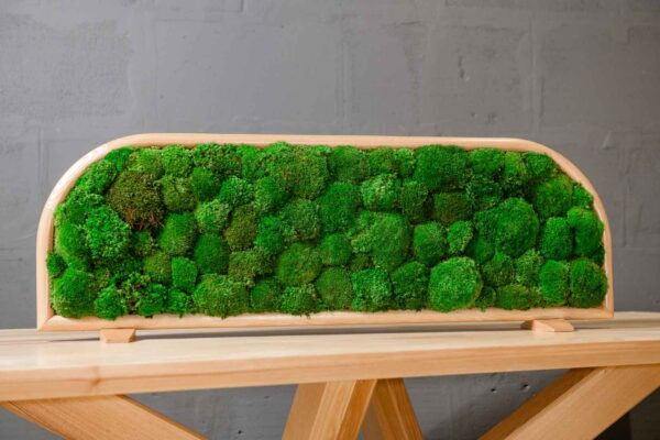 Moss table divider in an arched wooden frame freestanding on a wooden tabletop
