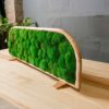 Freestanding green ball moss table divider with a curved natural wood frame on a wooden desk.