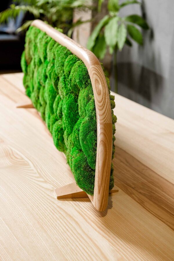 Moss Table Divider - Image 4