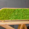 Table divider filled with textured light green lichen moss in a curved natural wood frame