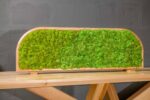 Moss Table Divider - Image 2