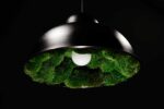 Pendant Light with Ball Moss - Image 3