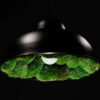 Matte black dome pendant light with an illuminated bulb surrounded by green moss lining its underside.