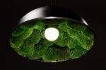 Pendant Light with Ball Moss