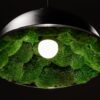 Black dome pendant light with an interior lined with green moss and a glowing round bulb in the center.