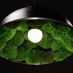 Black dome pendant light with an interior lined with green moss and a glowing round bulb in the center.